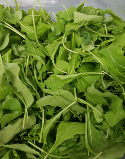 Arugula LOOSE  (LOCAL)